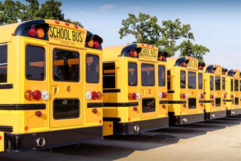 Row of yellow Busology school buses parked in lot